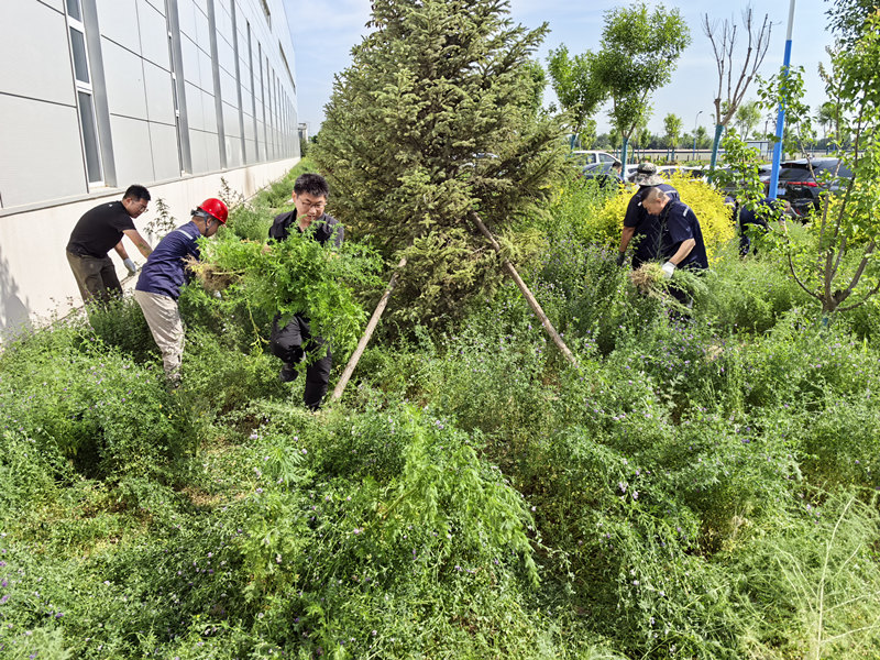 1749631826259309.jpg 微信圖片_20250611164446_副本.jpg